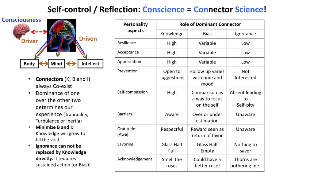 self control reflection conscience connector