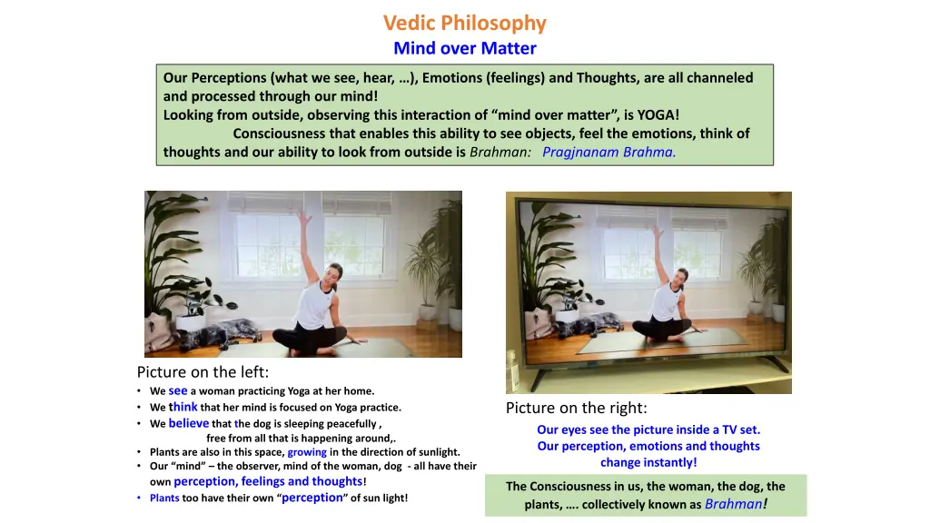 vedic philosophy mind over matter