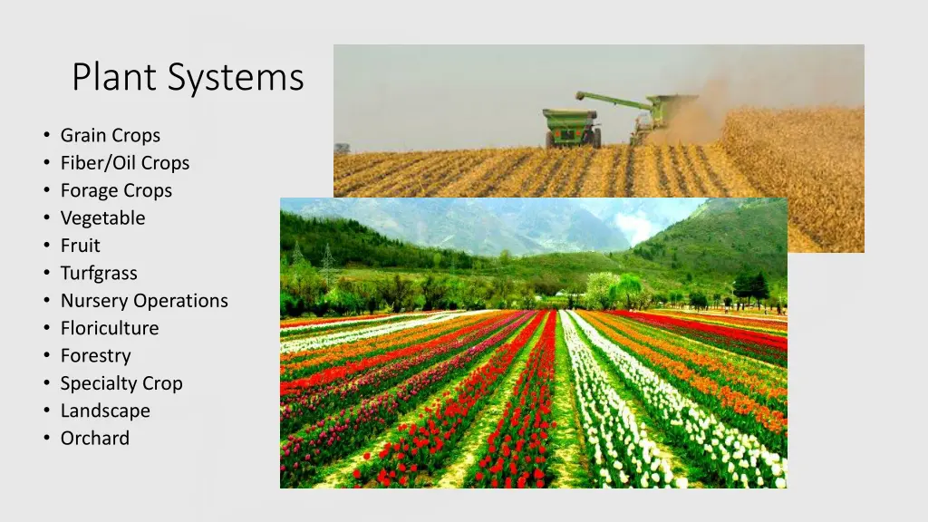 plant systems