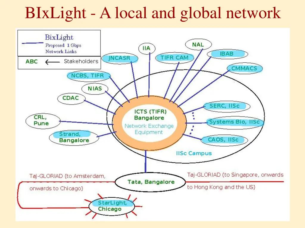 bixlight a local and global network