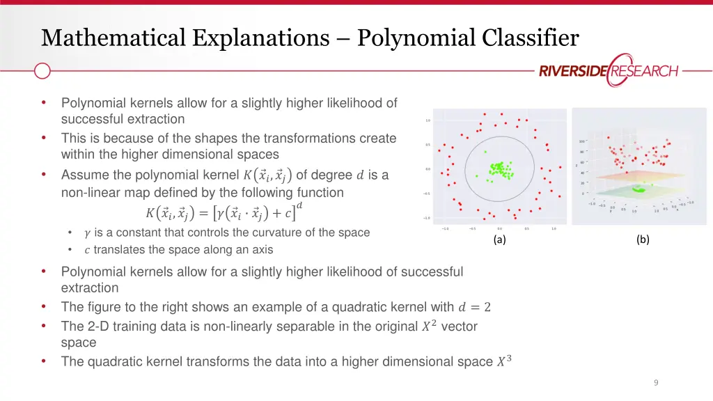 mathematical explanations polynomial classifier