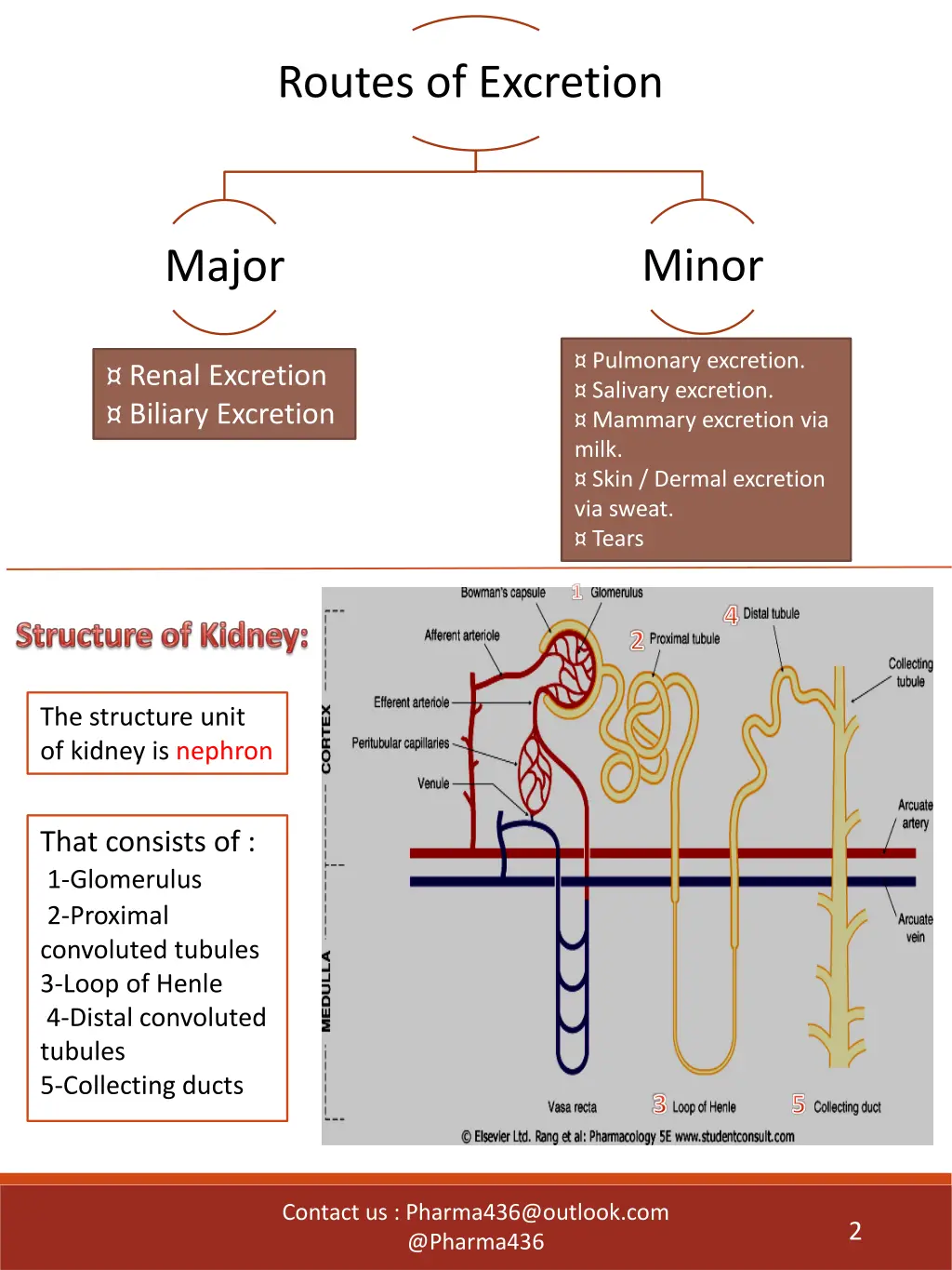 routes of excretion