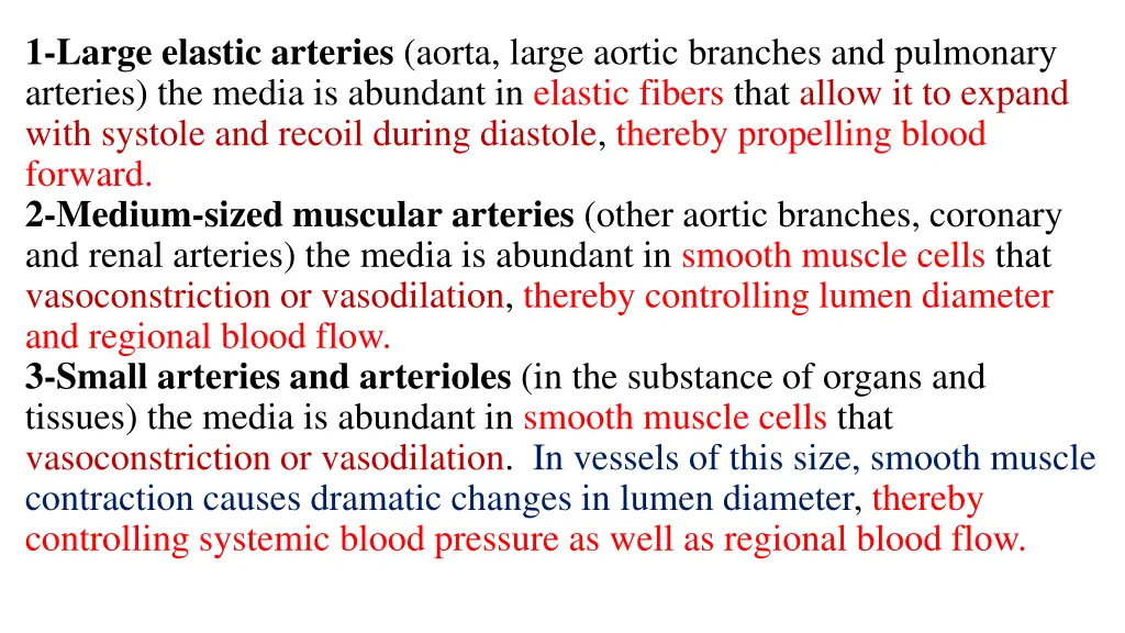 1 large elastic arteries aorta large aortic