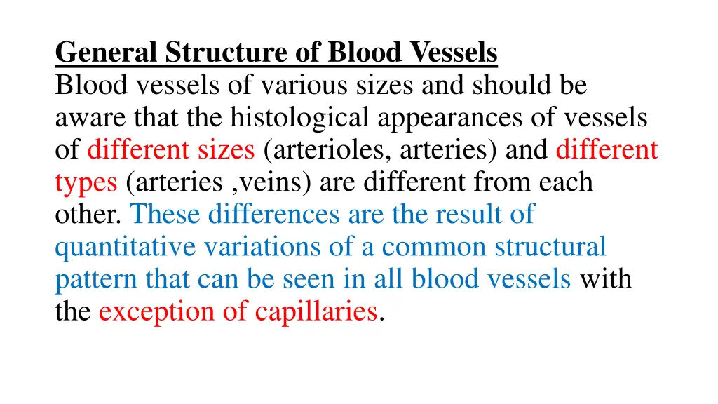 general structure of blood vessels blood vessels