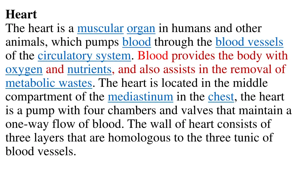 heart the heart is a muscular organ in humans