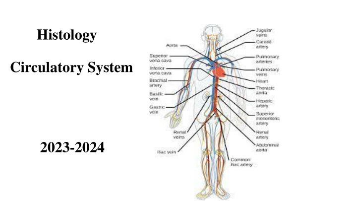 histology