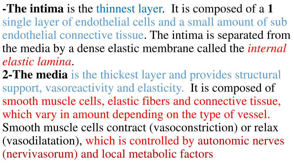 the intima is the thinnest layer it is composed