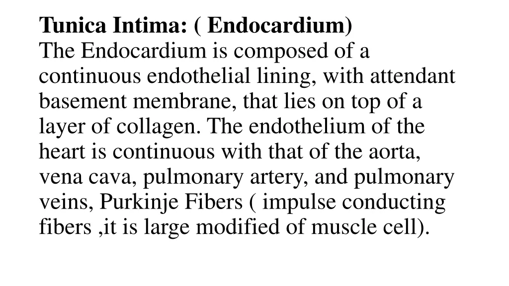 tunica intima endocardium the endocardium