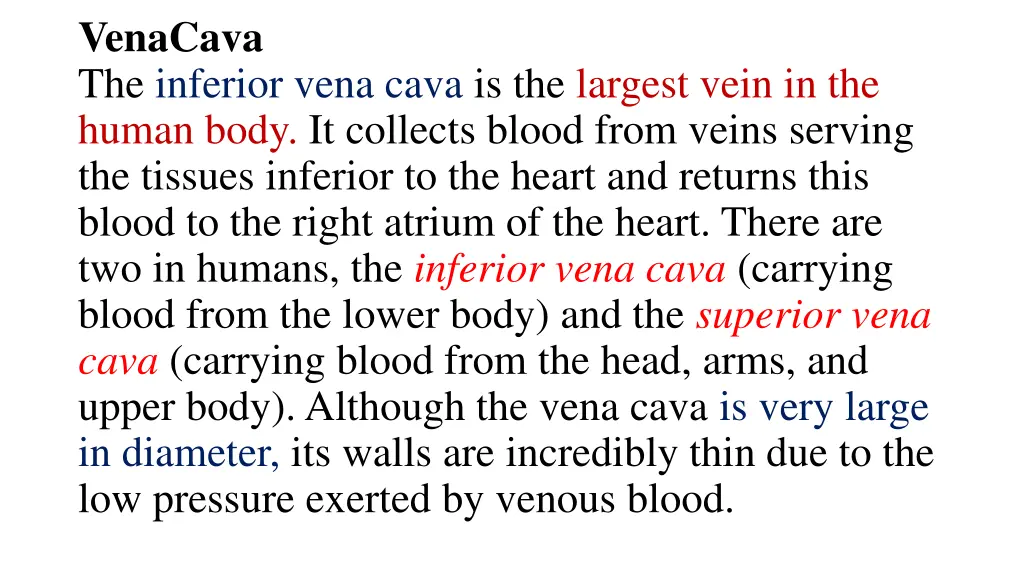 venacava the inferior vena cava is the largest