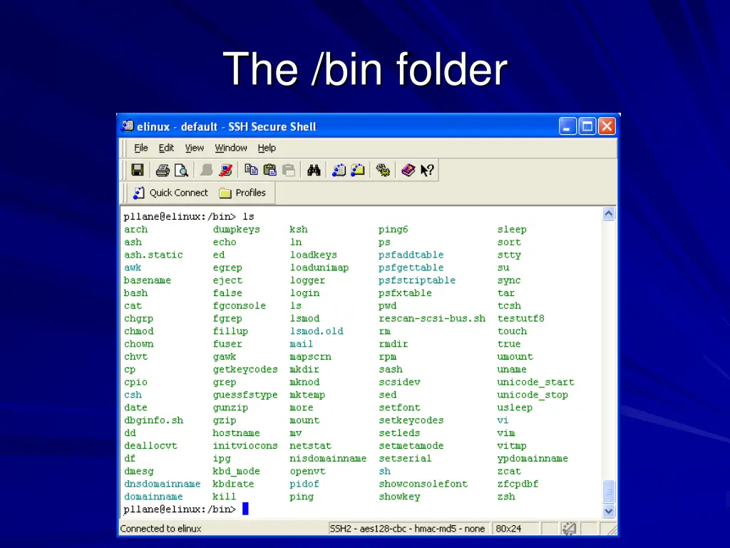 the bin folder