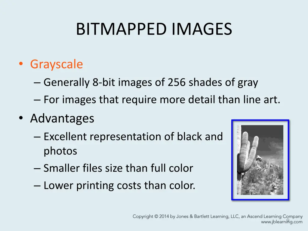 bitmapped images 2