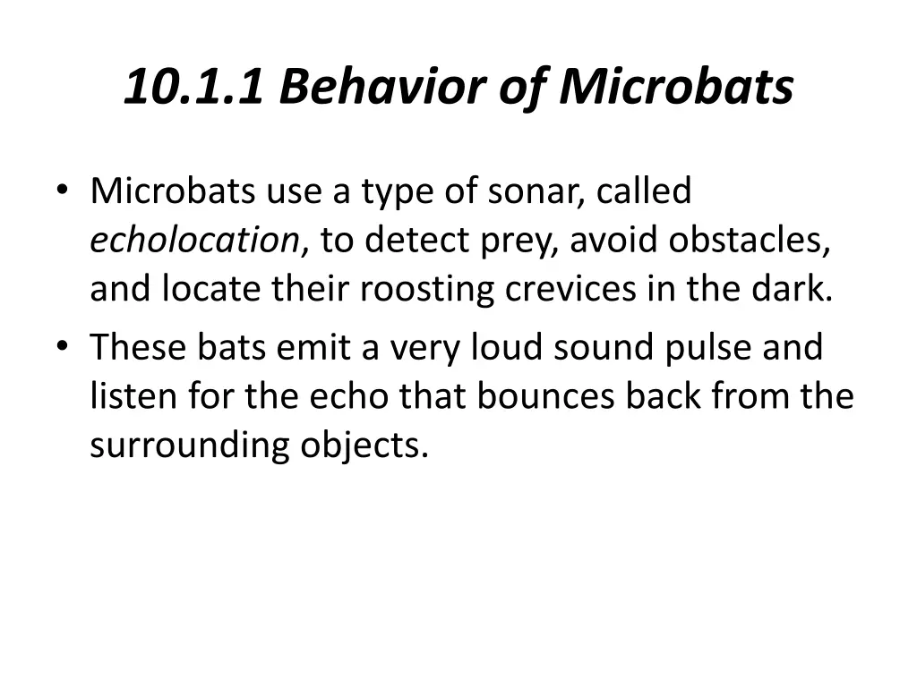 10 1 1 behavior of microbats