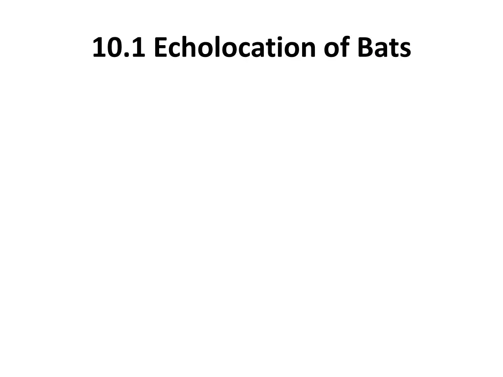 10 1 echolocation of bats