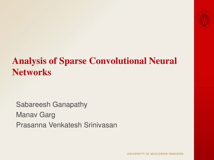 analysis of sparse convolutional neural networks