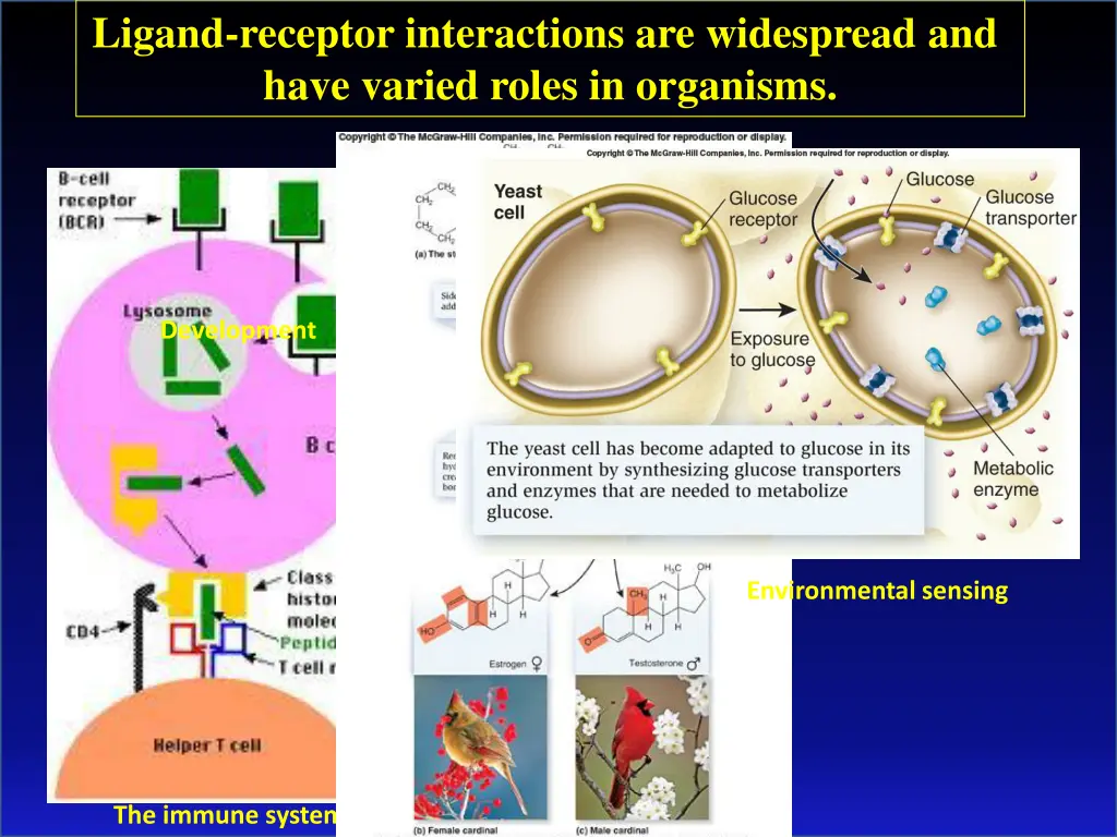 ligand receptor interactions are widespread