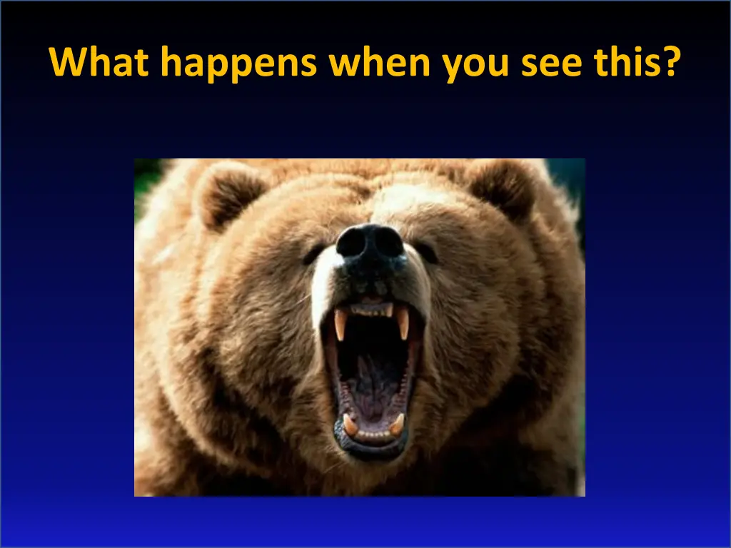 what happens when you see this