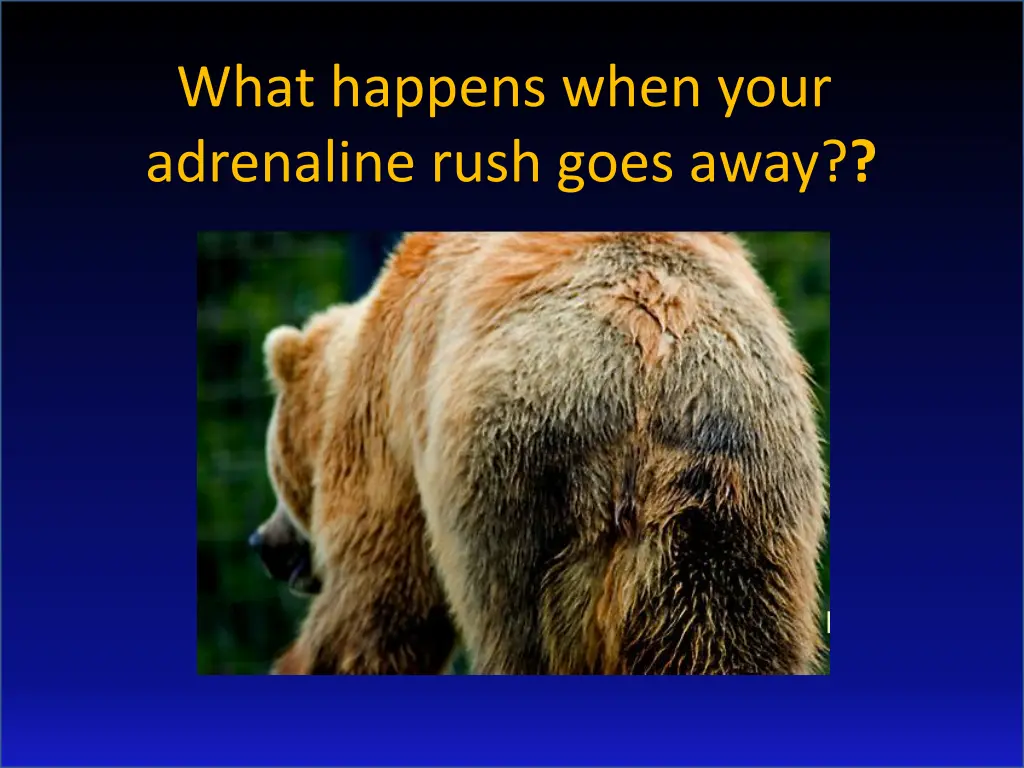 what happens when your adrenaline rush goes away