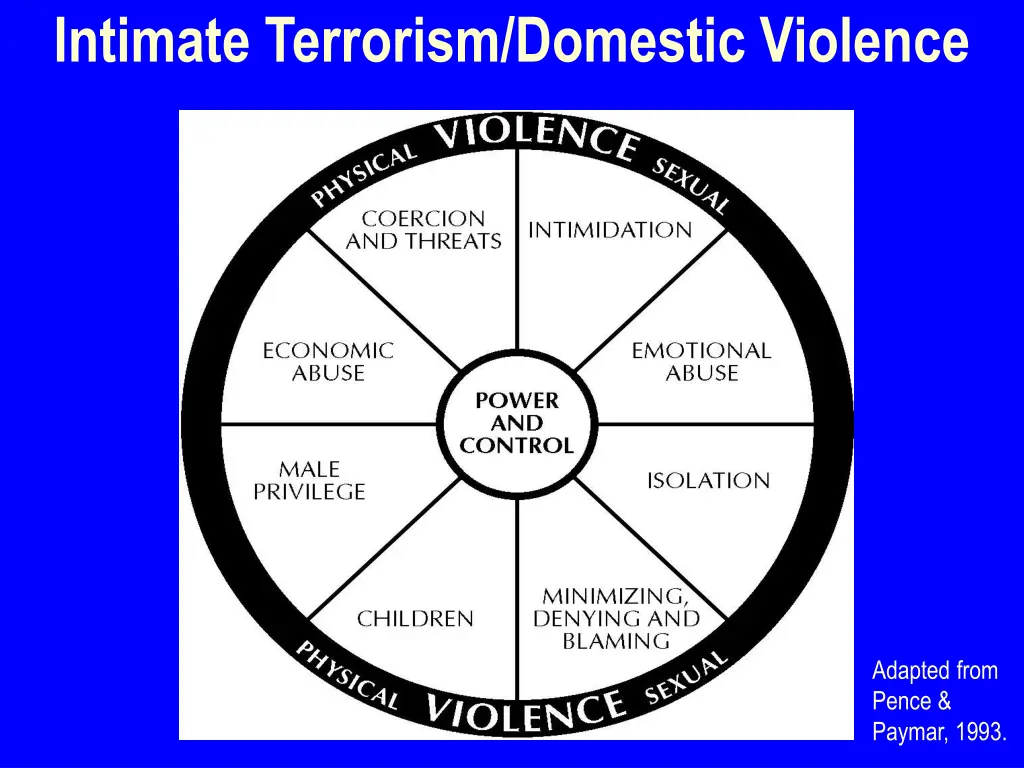 intimate terrorism domestic violence