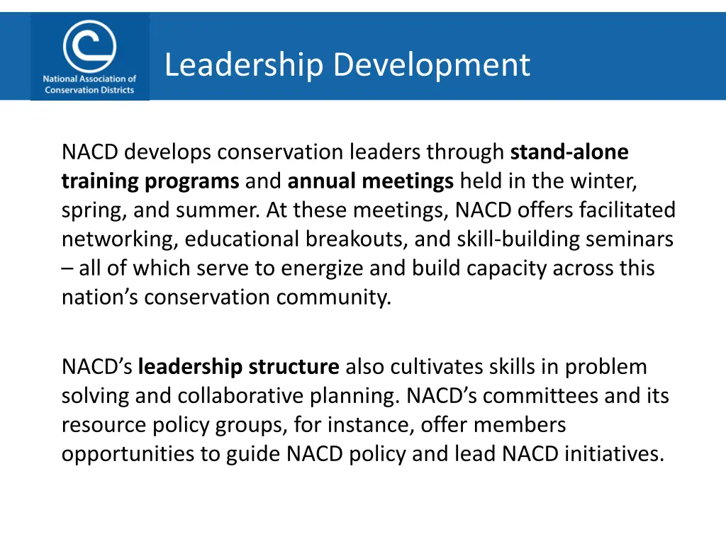leadership development