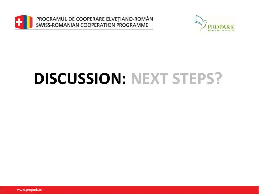discussion next steps