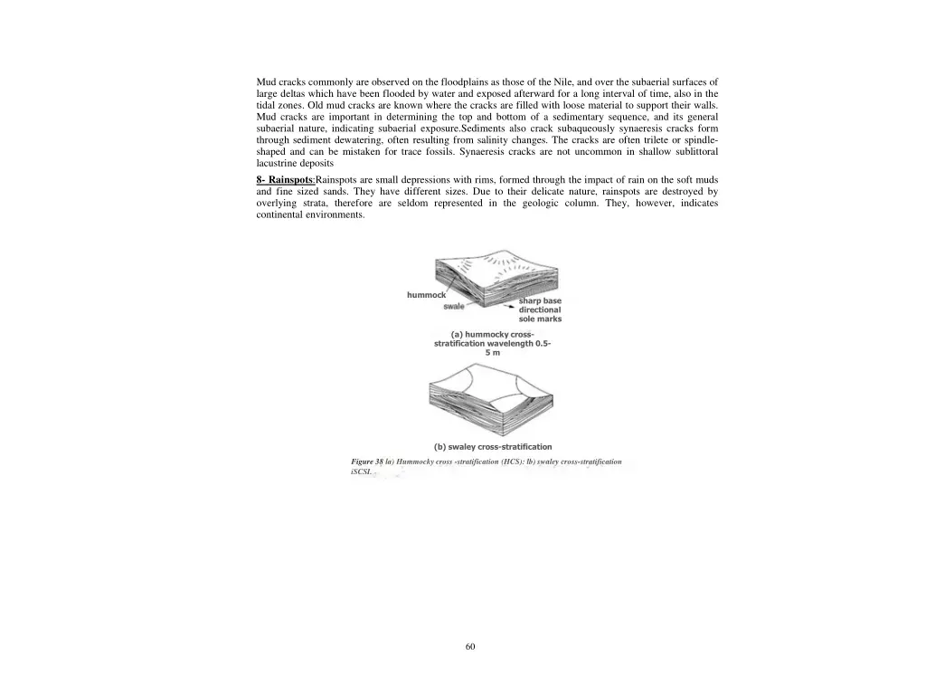 mud cracks commonly are observed