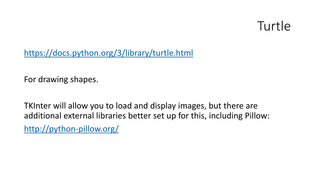 turtle