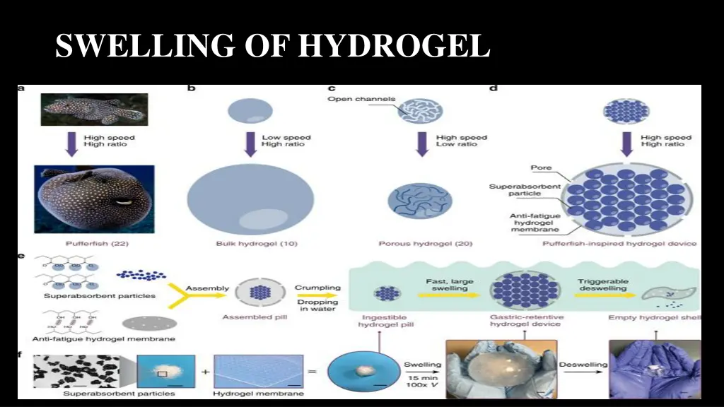 swelling of hydrogel