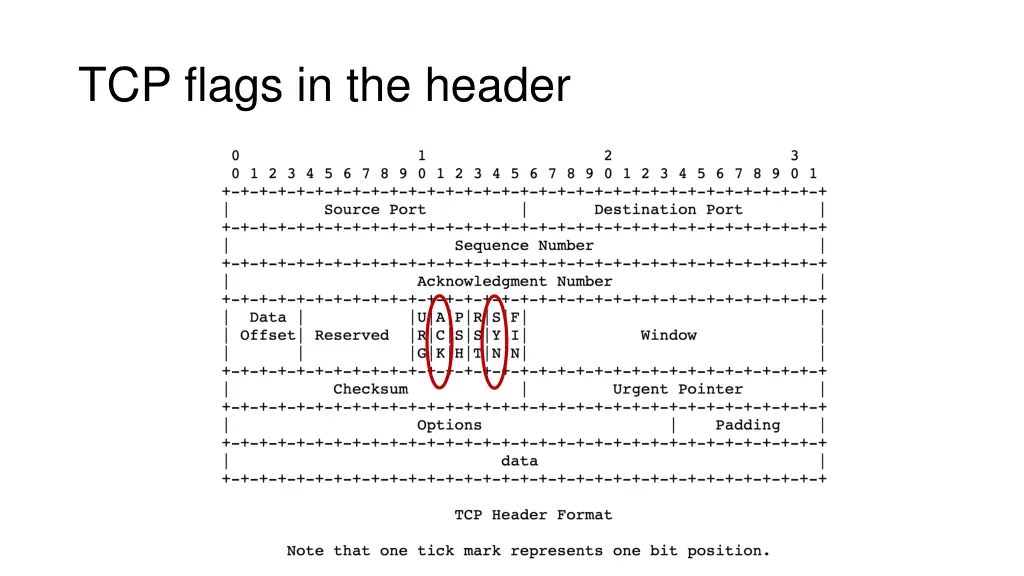 tcp flags in the header