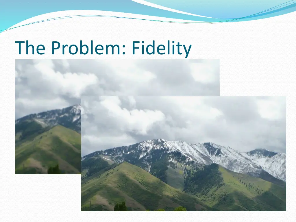 the problem fidelity