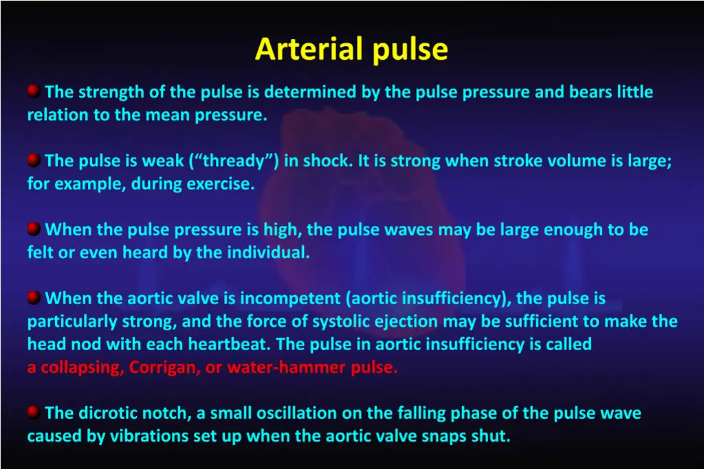 arterial pulse 1