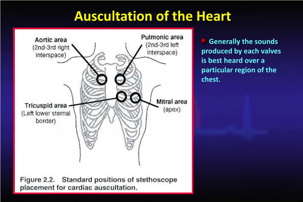 auscultation of the heart