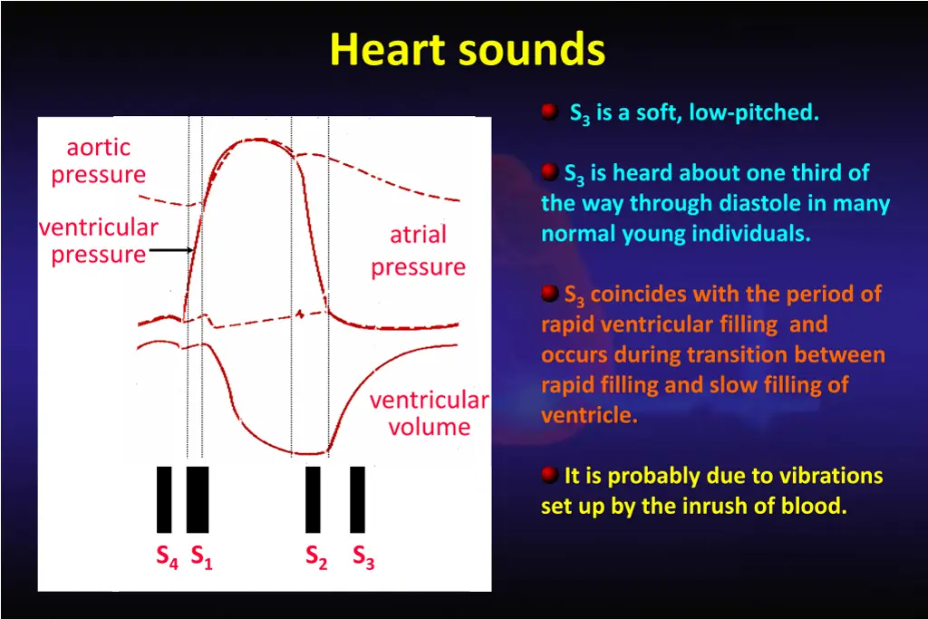 heart sounds 1
