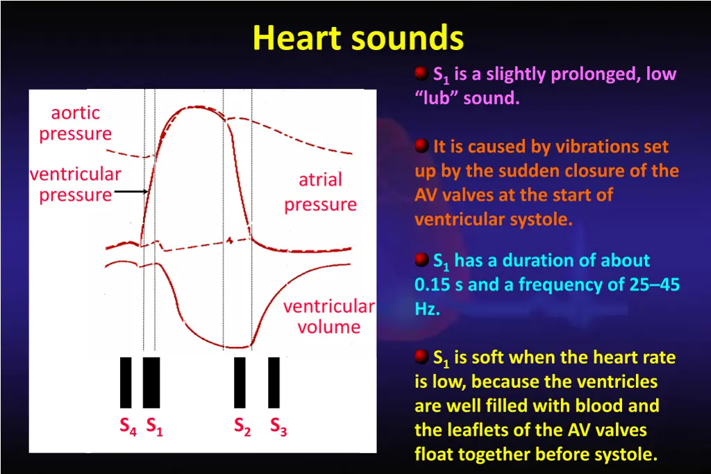 heart sounds