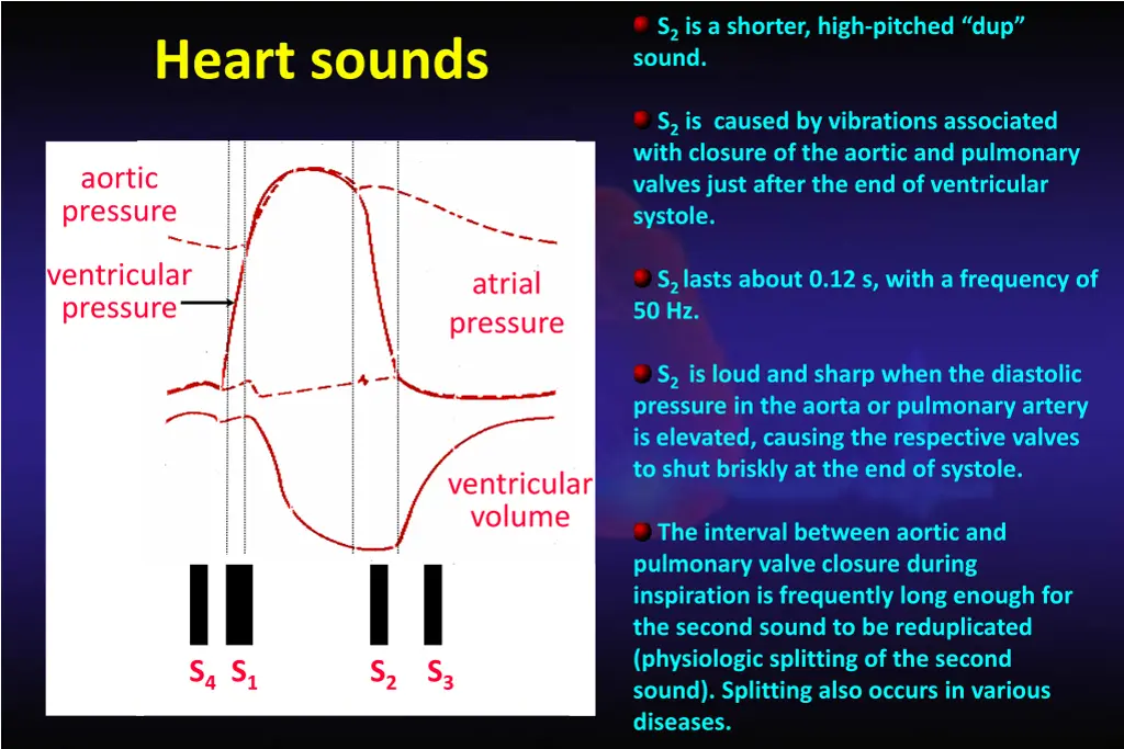 s 2 is a shorter high pitched dup sound