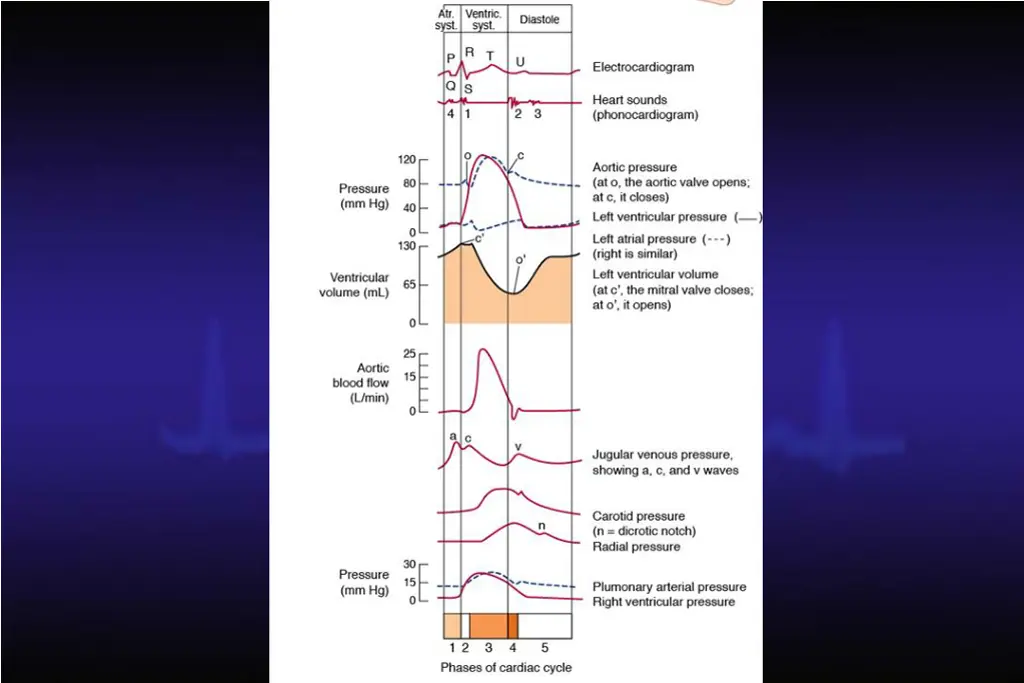 slide31