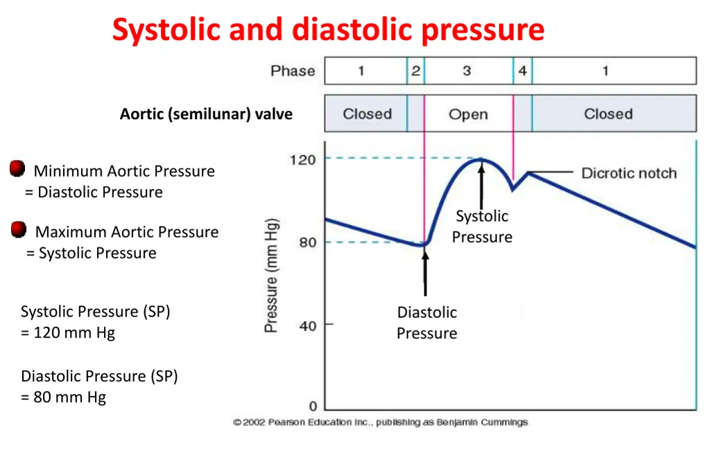 systolic and diastolic pressure