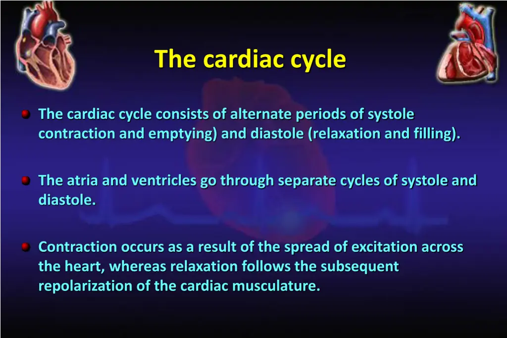 the cardiac cycle
