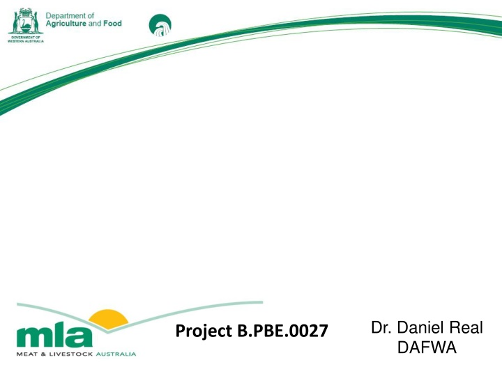 dr daniel real dafwa