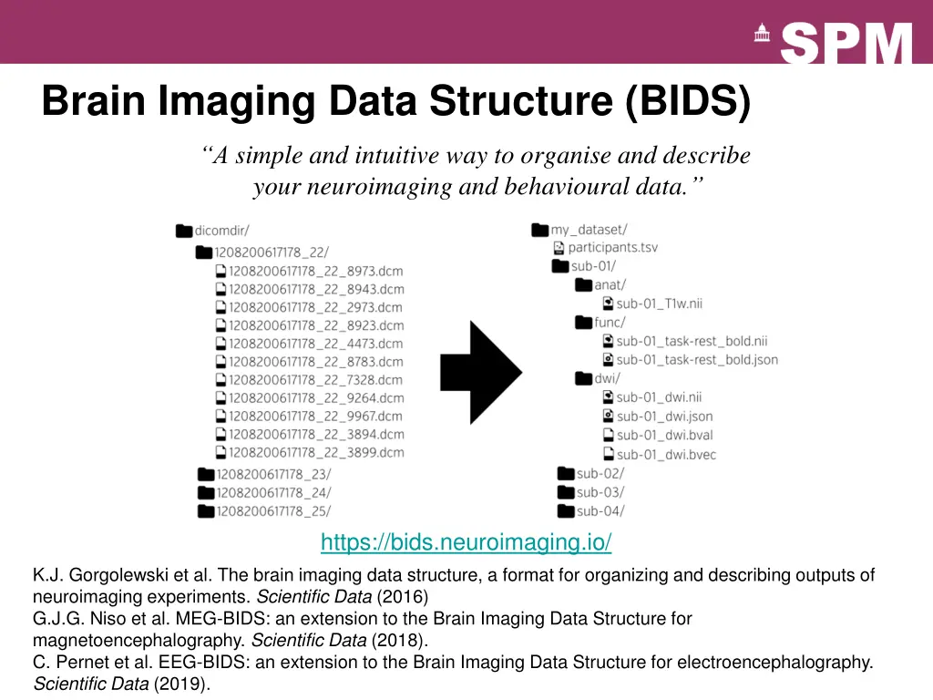 brain imaging data structure bids