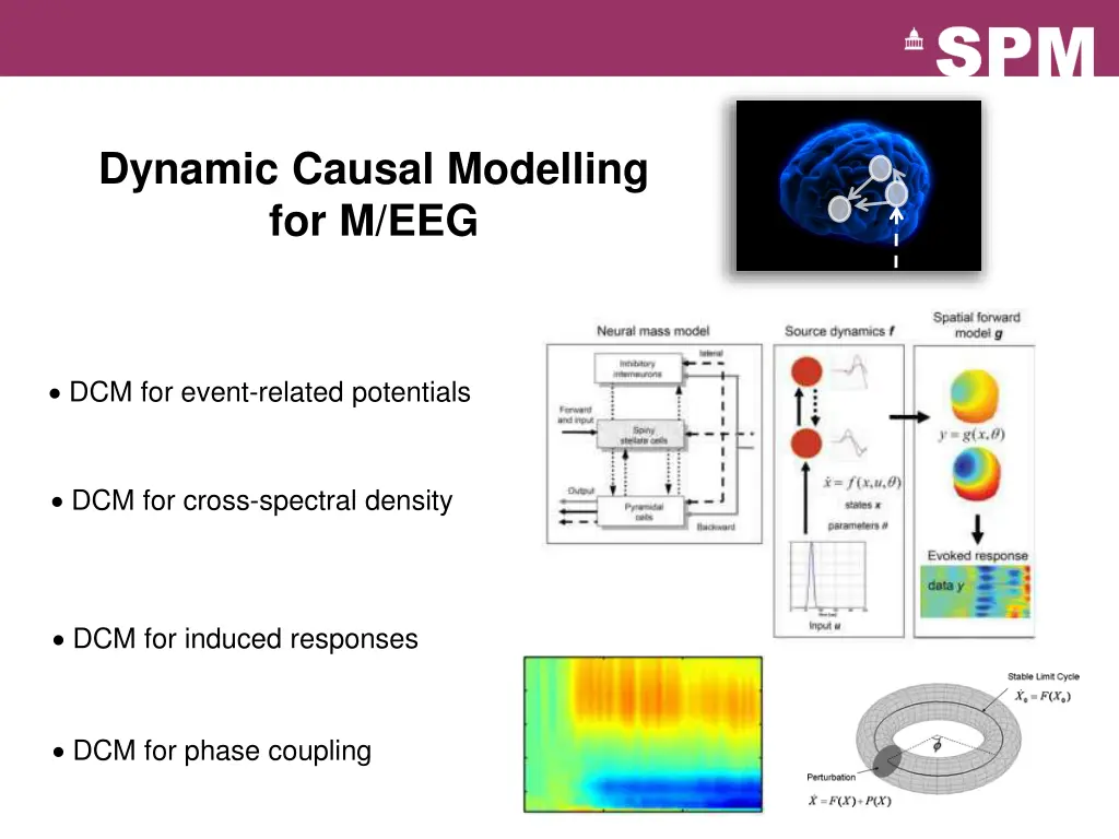 dynamic causal modelling for m eeg