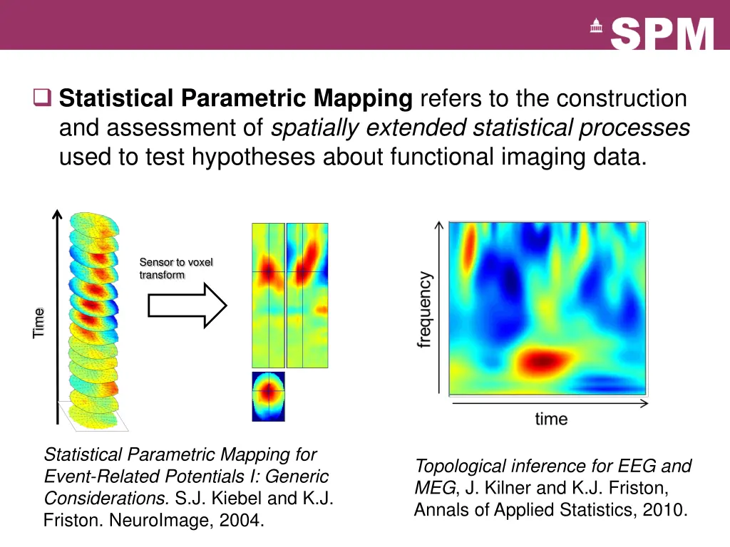 statistical parametric mapping refers