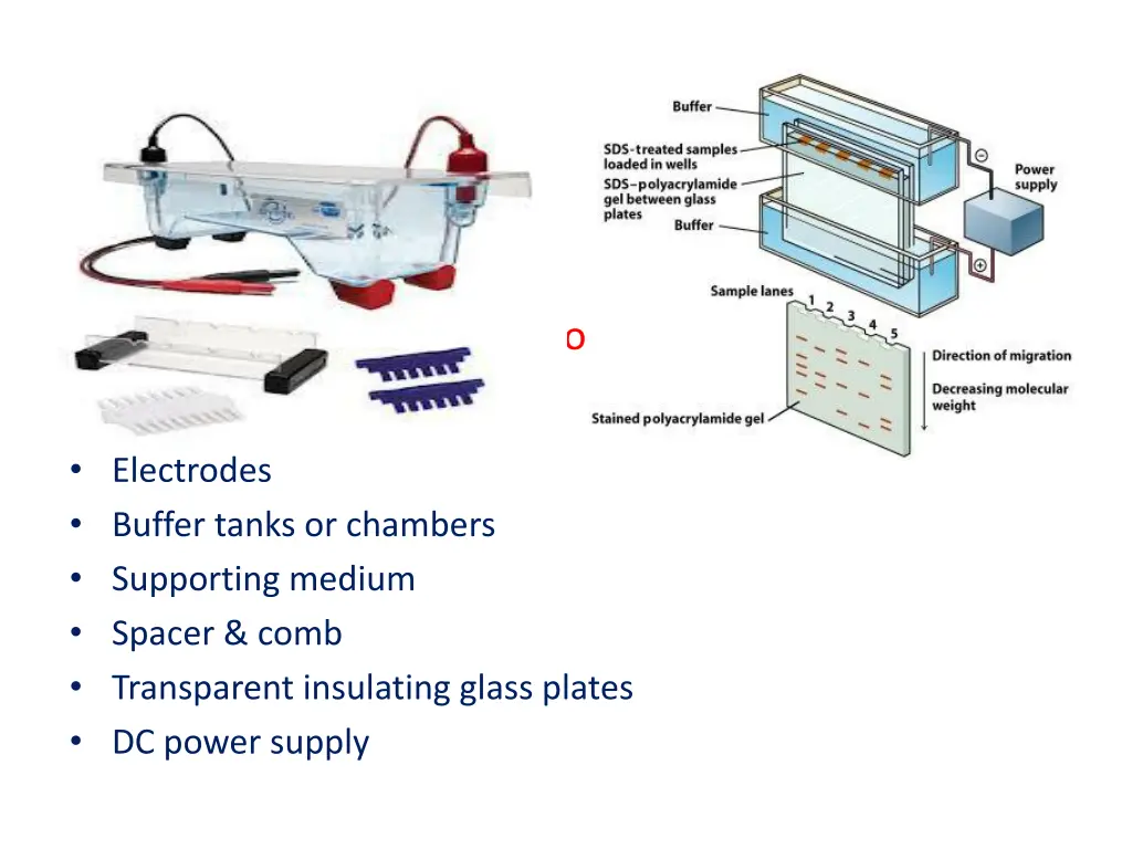 electrophoresis unit