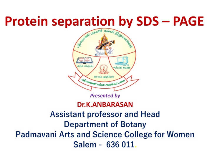 protein separation by sds page