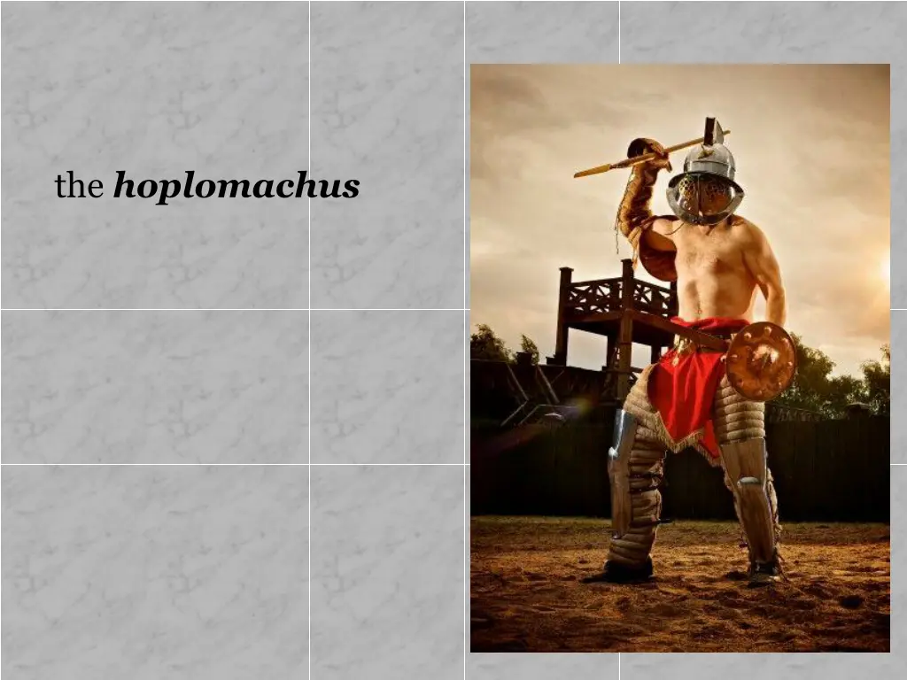 the hoplomachus
