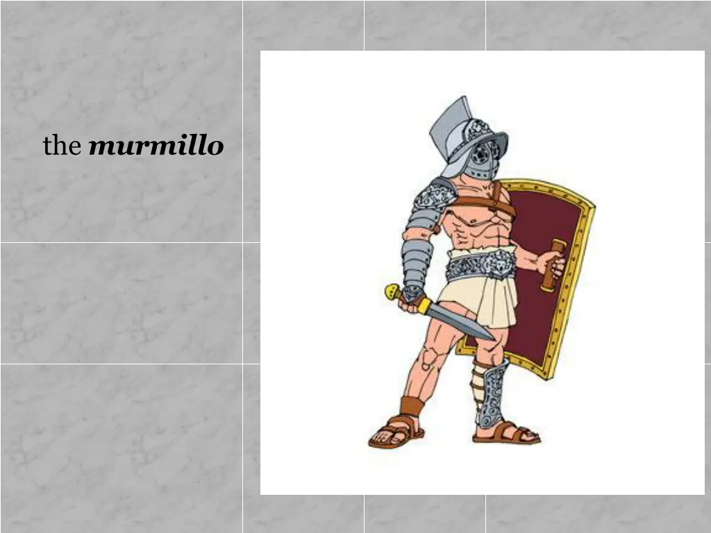 the murmillo