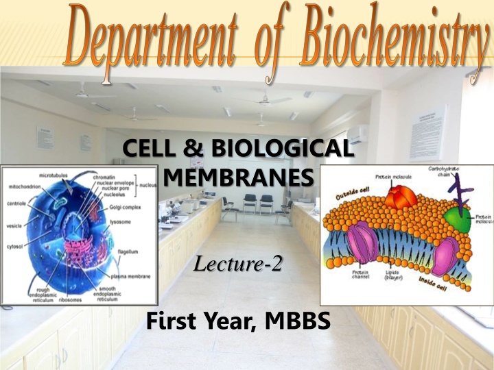 cell biological membranes