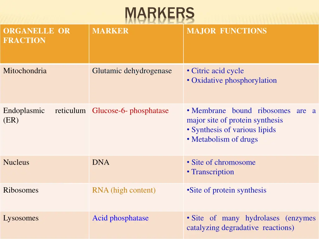 markers