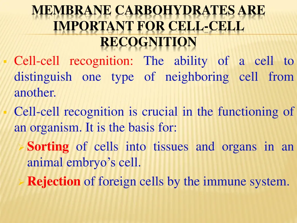 membrane carbohydrates are important for cell
