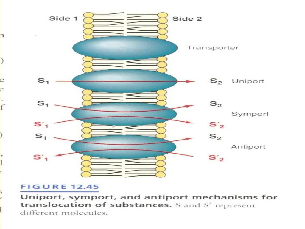 slide32