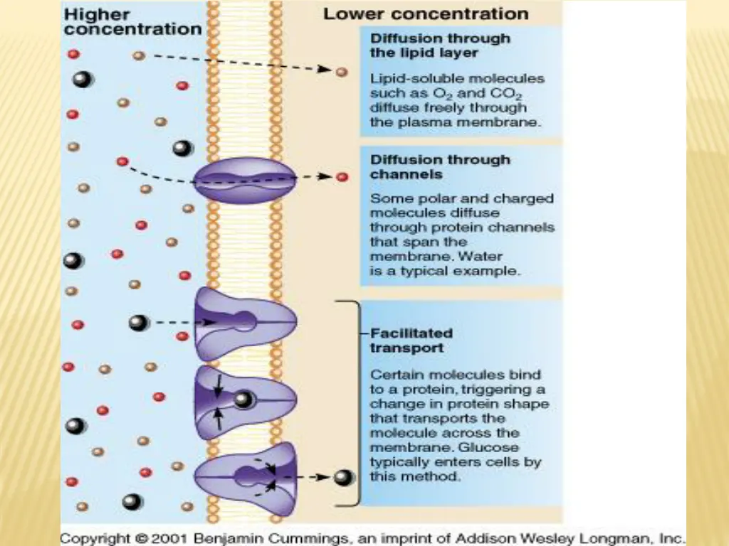slide37